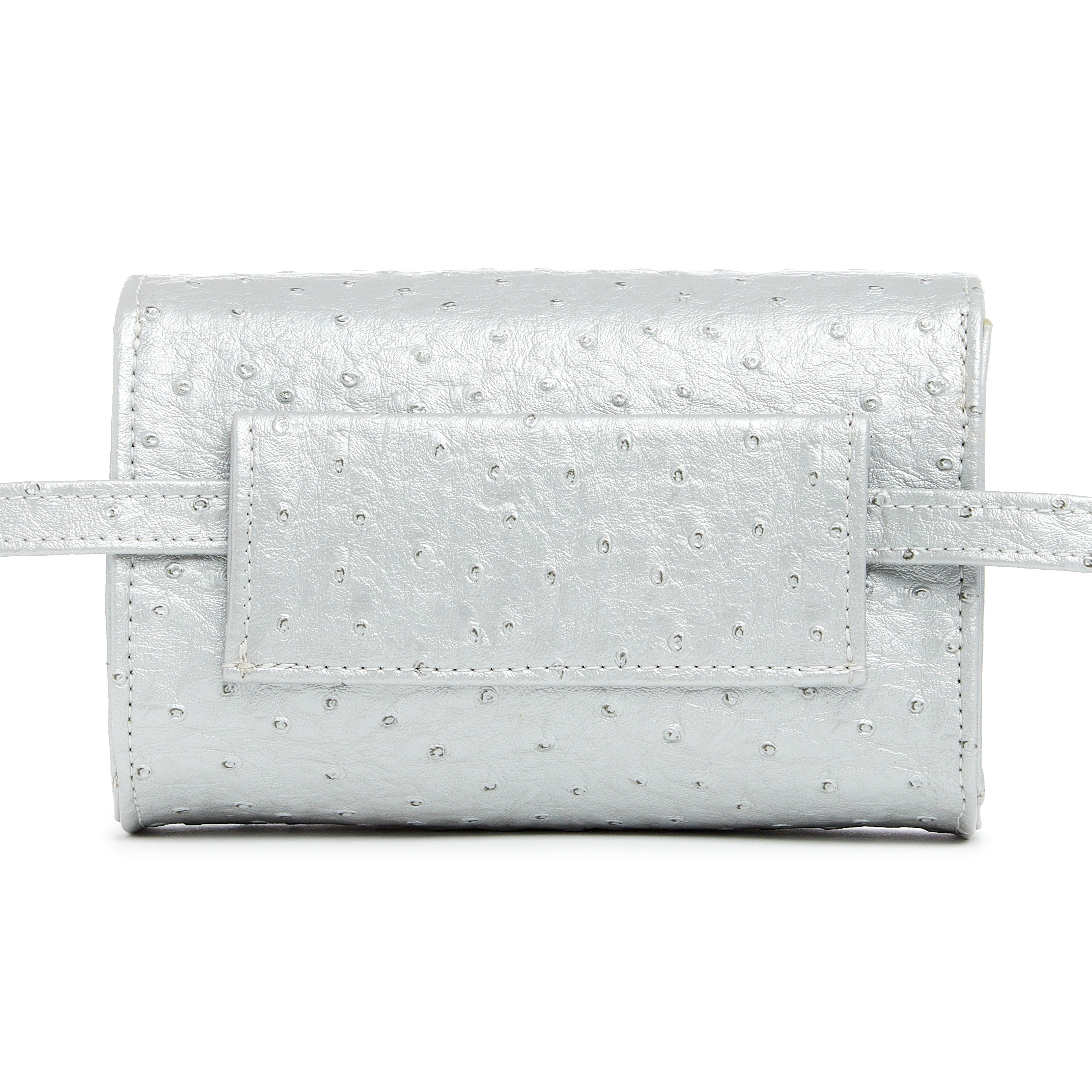 Silver "Ostrich” w/Silver Accents image 2